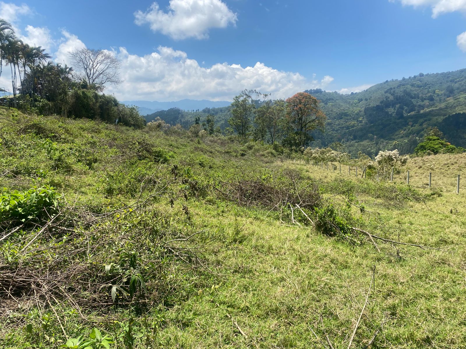 Vista panorámica Finca Vista